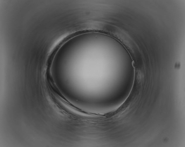 X0000093560676200710151108