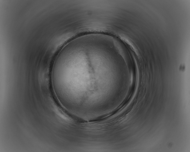X0000093560677200710151108