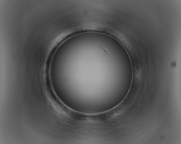 X0000093560678200710151108