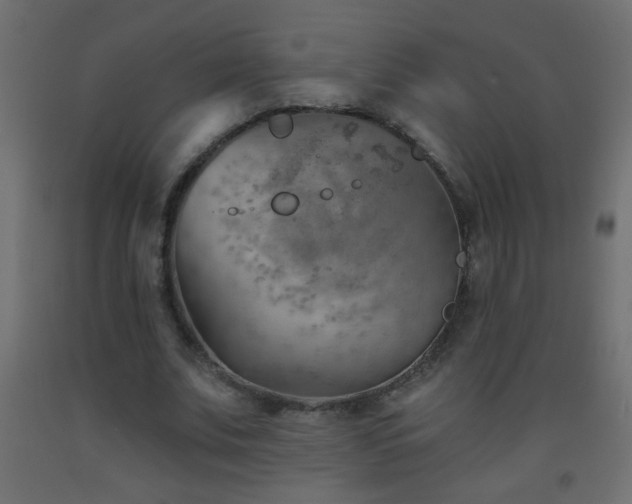 X0000093560679200710151108