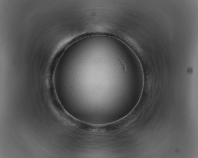 X0000093560680200710151108