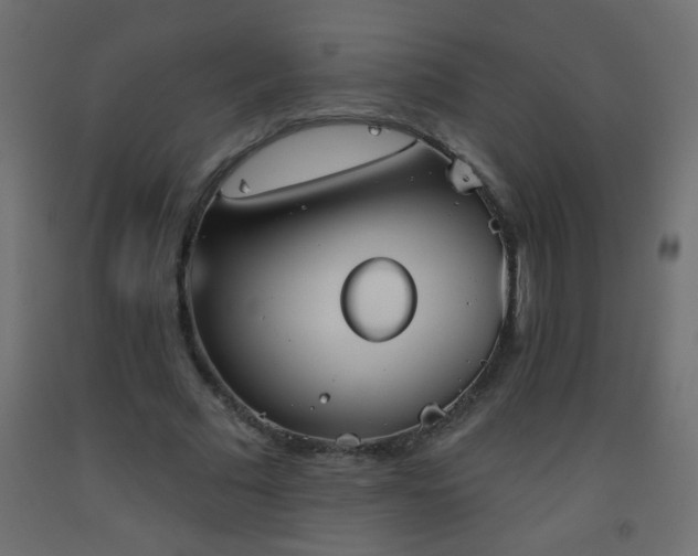 X0000093560681200710151108