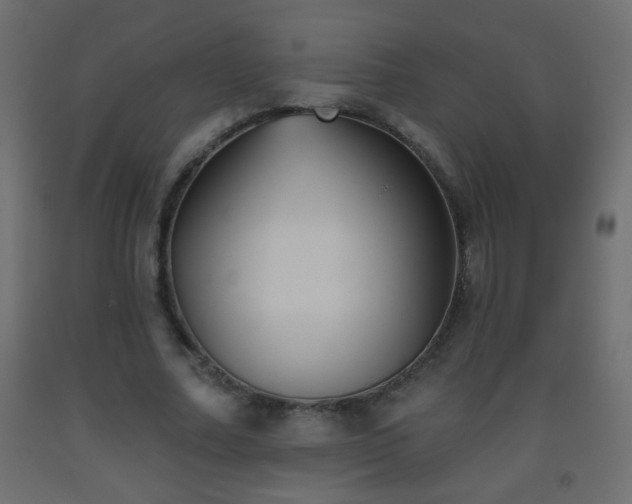 X0000093560682200710151108