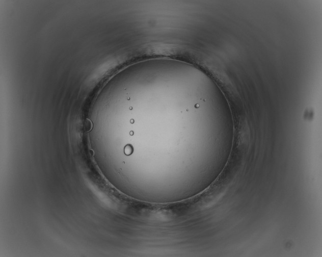 X0000093560683200710151107