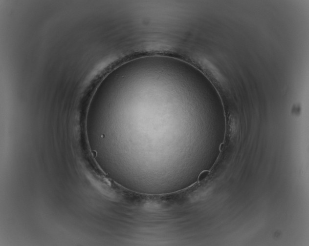 X0000093560684200710151107