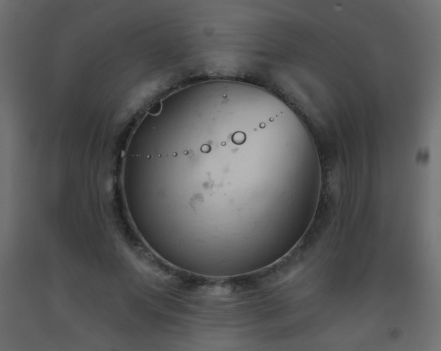 X0000093560687200710151107