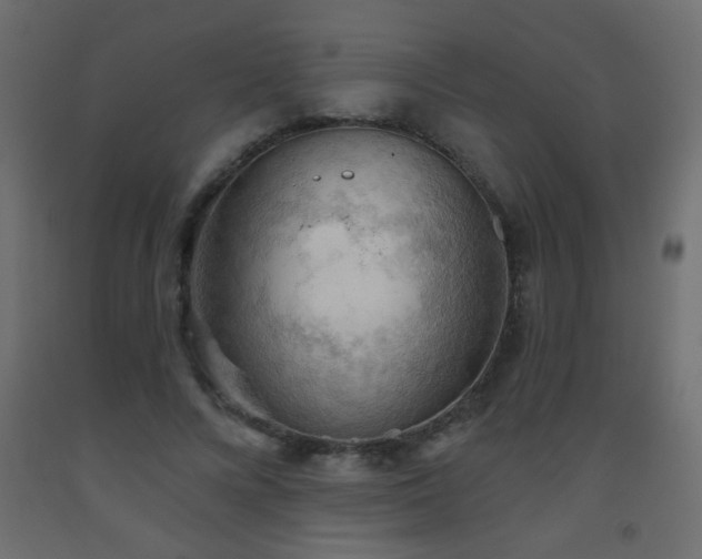 X0000093560688200710151107