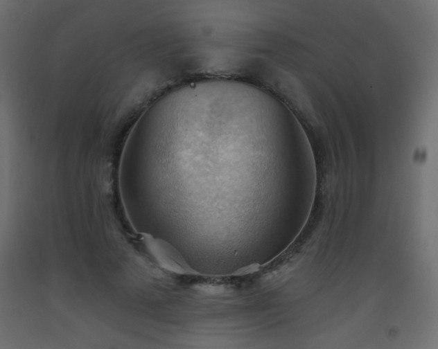 X0000093560689200710151107