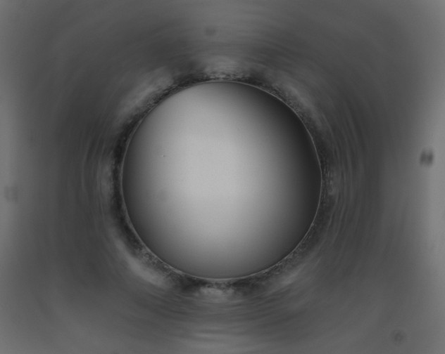 X0000093560690200710151107