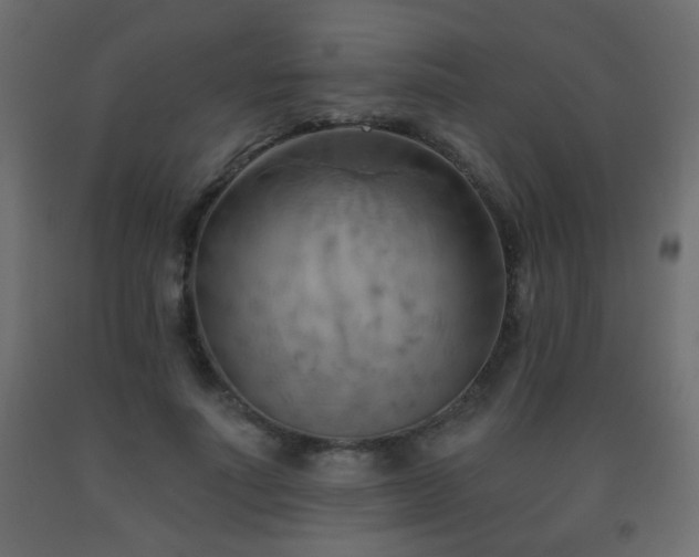 X0000093560691200710151107
