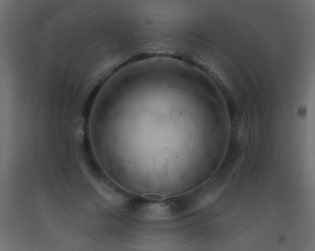 X0000093560692200710151107