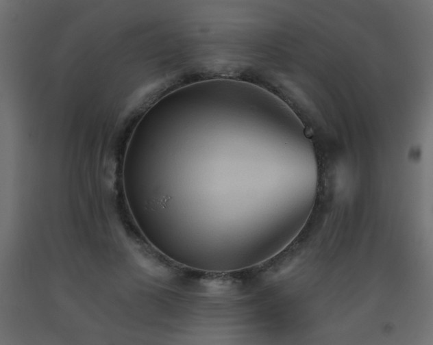X0000093560693200710151107