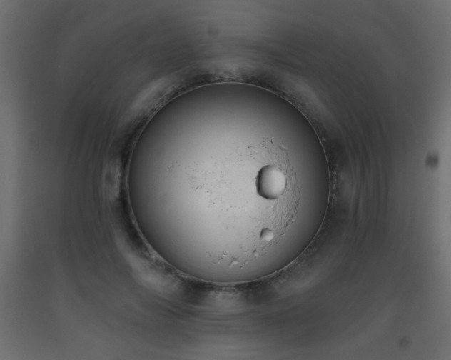 X0000093560694200710151107