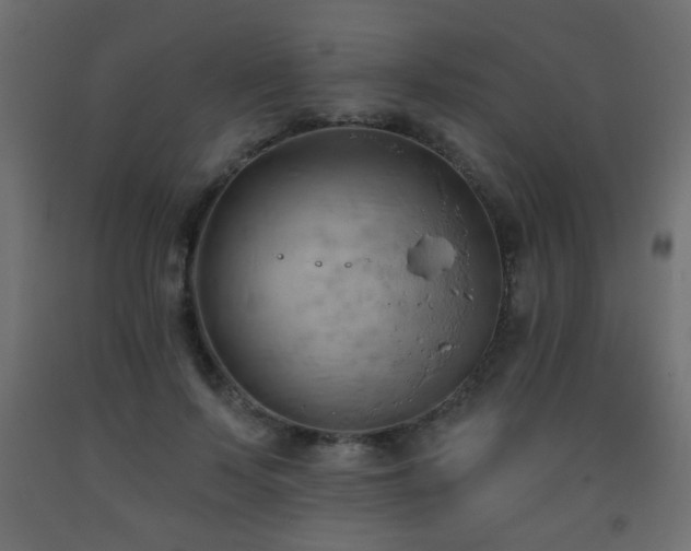 X0000093560695200710151107