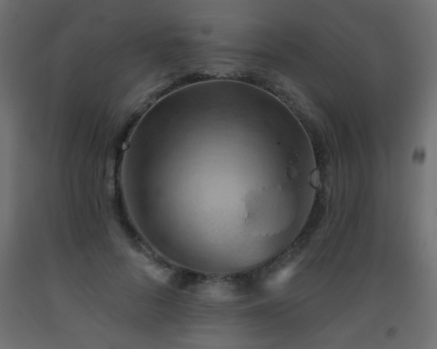 X0000093560696200710151107