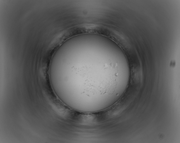 X0000093560698200710151107