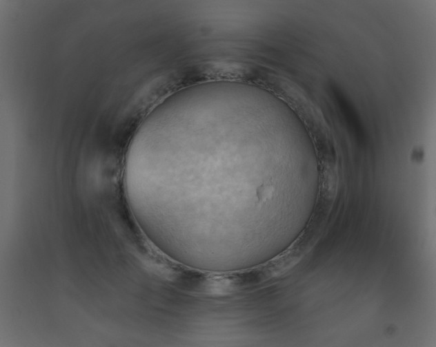 X0000093560701200710151107