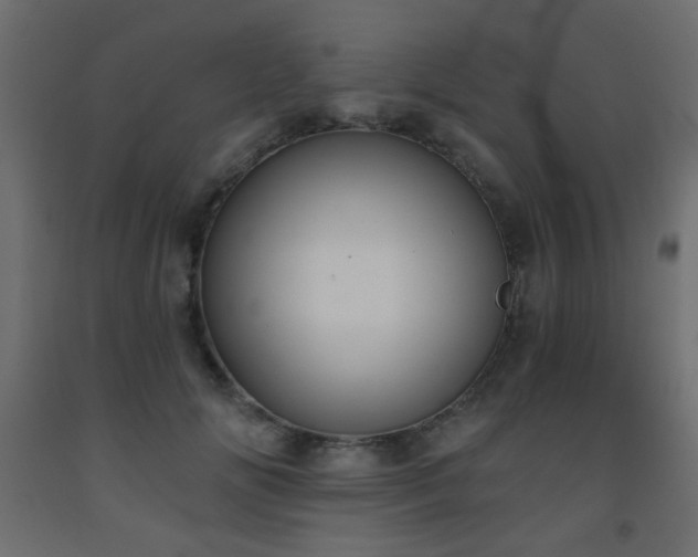 X0000093560702200710151107
