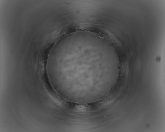 X0000093560703200710151107