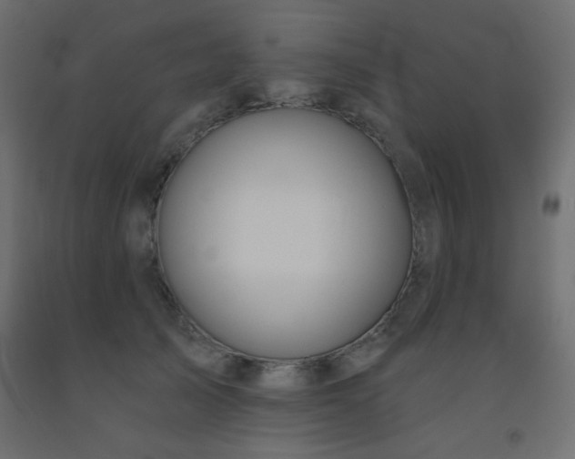 X0000093560705200710151107