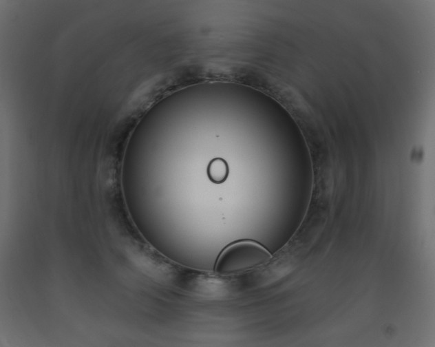 X0000093560706200710151107