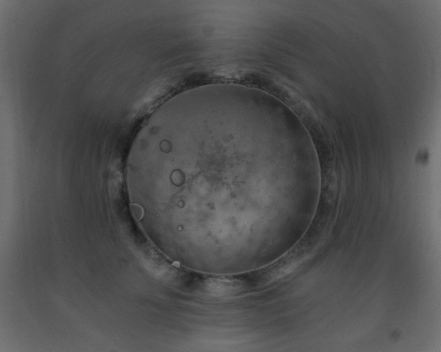 X0000093560707200710151107