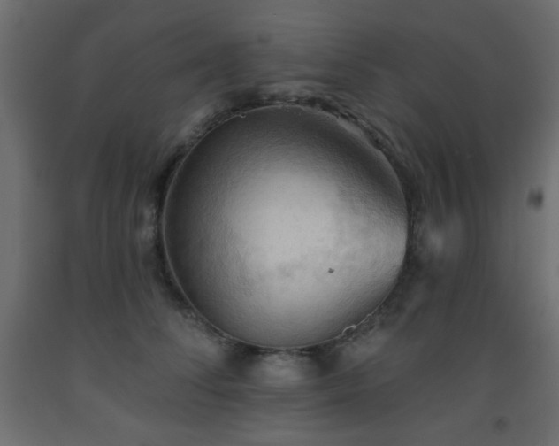X0000093560708200710151107