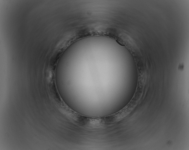 X0000093560709200710151107