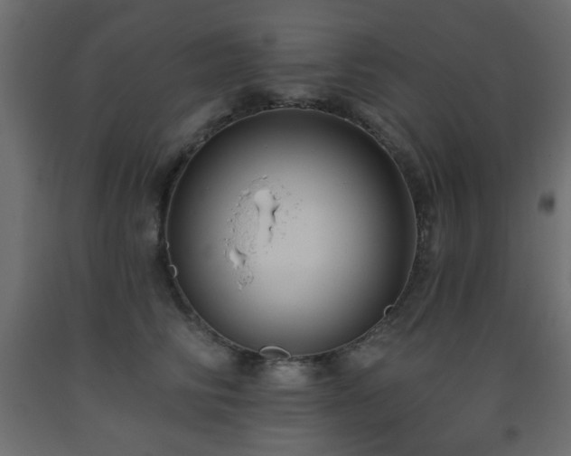 X0000093560710200710151107