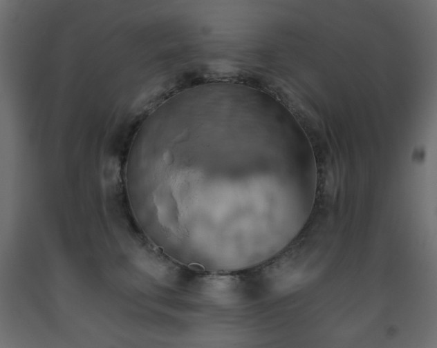 X0000093560711200710151107