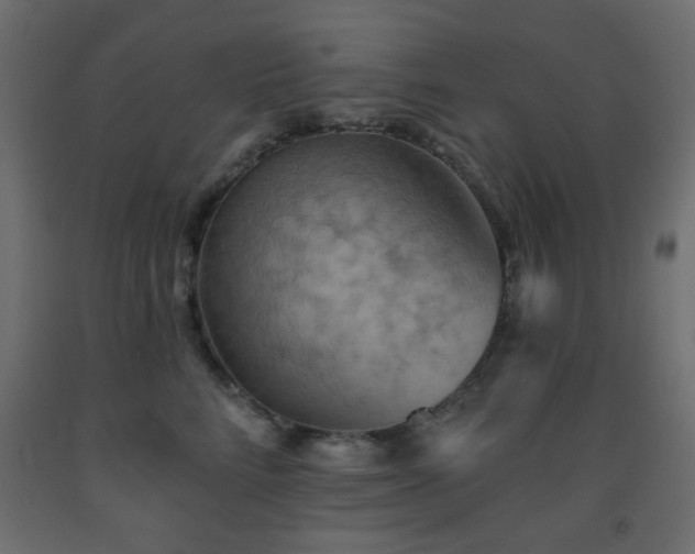 X0000093560712200710151107