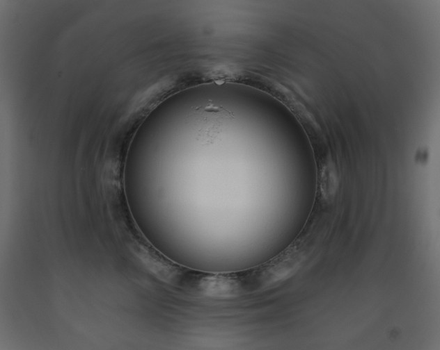 X0000093560714200710151107