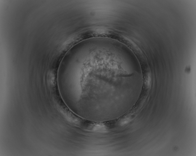 X0000093560715200710151107