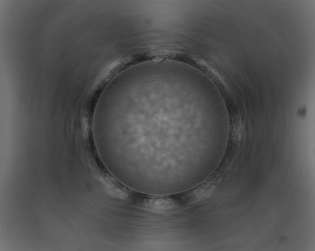 X0000093560716200710151107