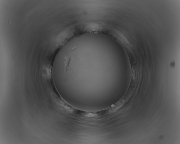 X0000093560718200710151107