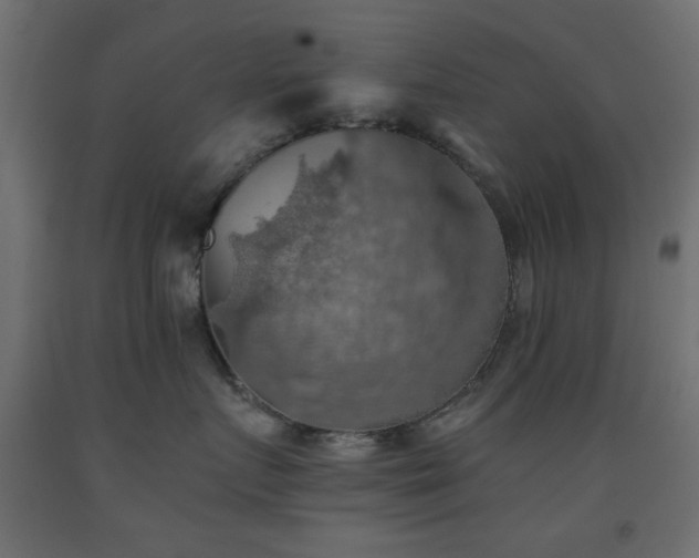 X0000093560719200710151107