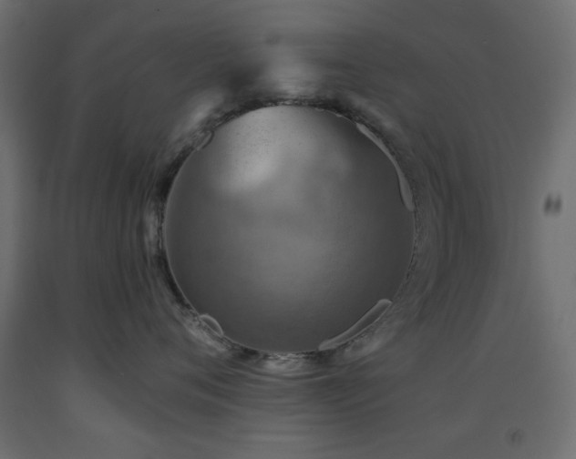 X0000093560720200710151107