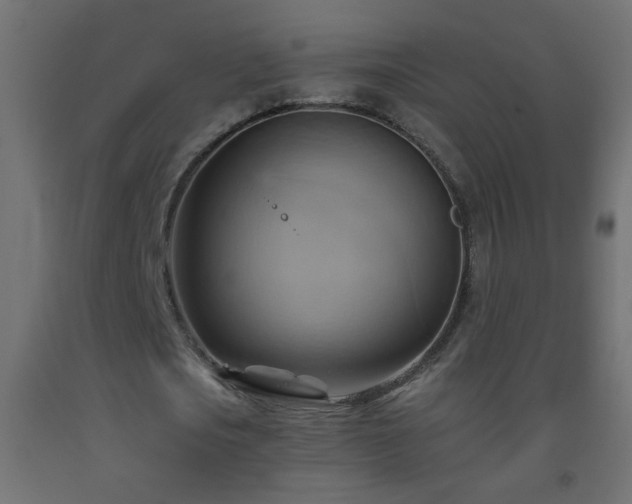 X0000093560721200710151106