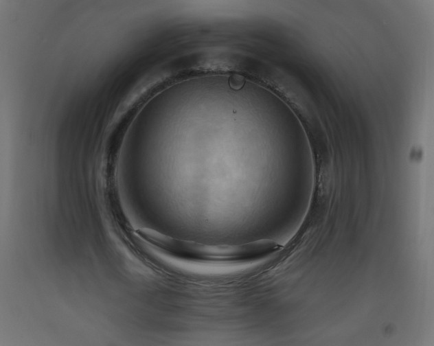 X0000093560722200710151106
