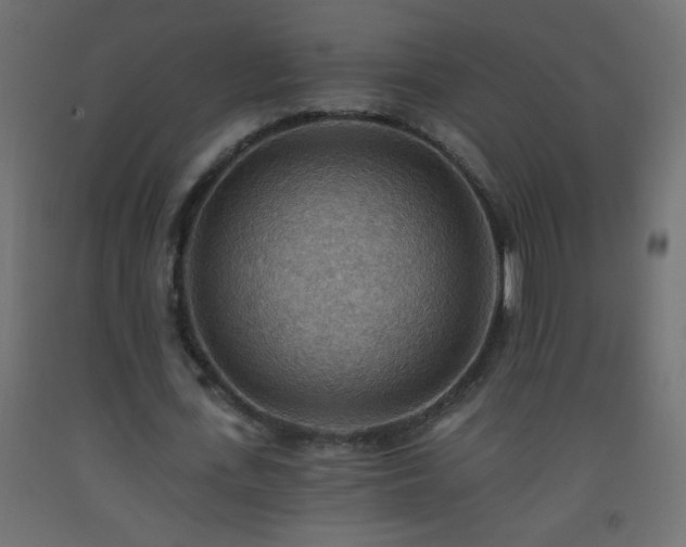 X0000093560723200710151106