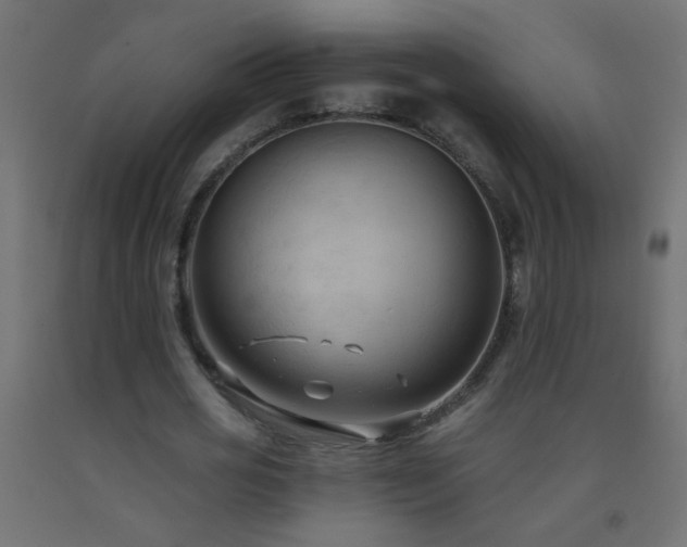 X0000093560725200710151106