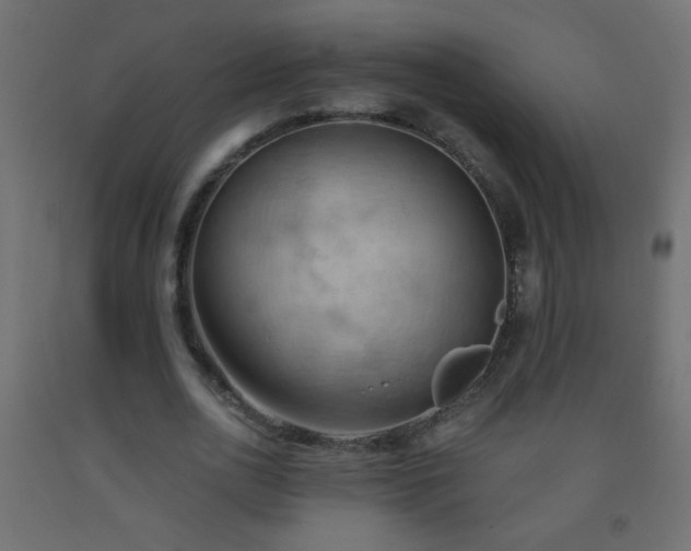 X0000093560726200710151106