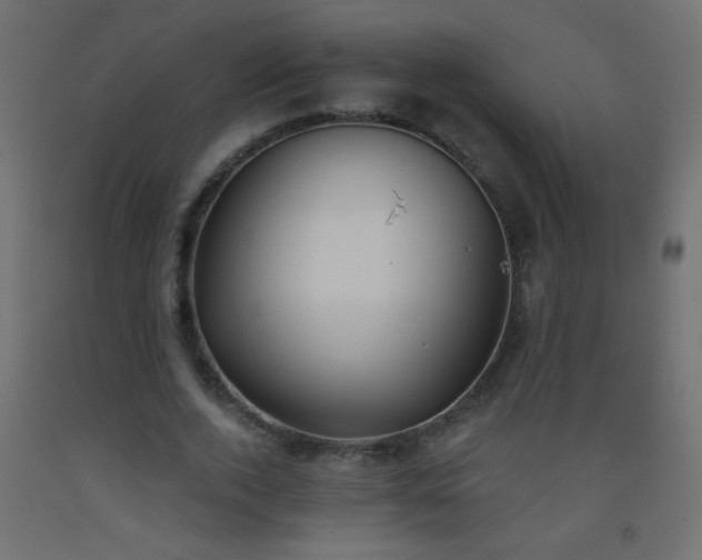 X0000093560728200710151107