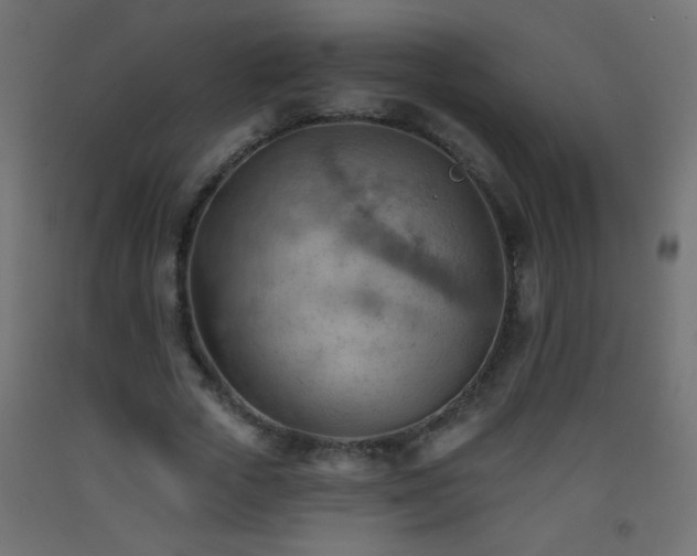 X0000093560729200710151107