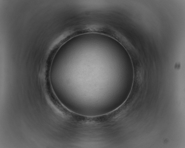 X0000093560730200710151107