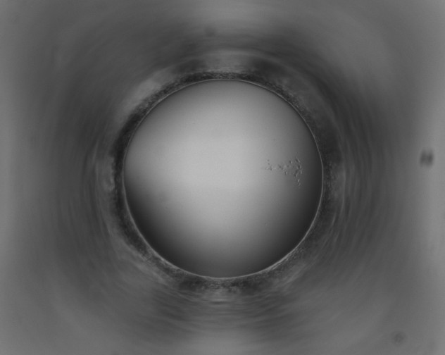 X0000093560731200710151107