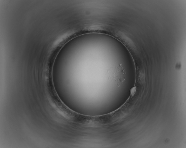 X0000093560732200710151107