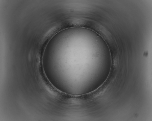 X0000093560733200710151107