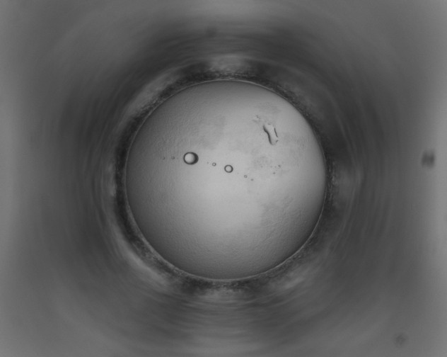 X0000093560734200710151107