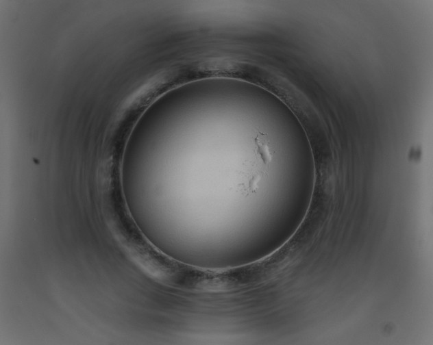 X0000093560735200710151107